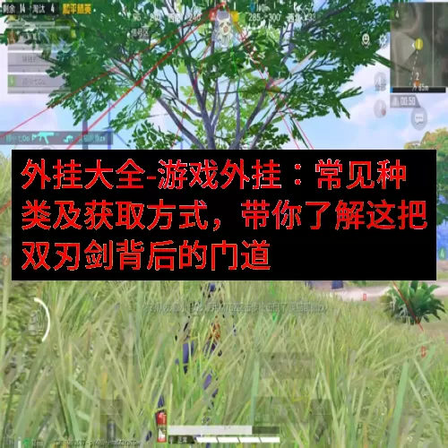 外挂大全-游戏外挂：常见种类及获取方式，带你了解这把双刃剑背