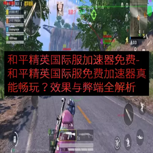 和平精英国际服加速器免费-和平精英国际服免费加速器真能畅玩？